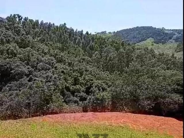 Sítio e chácara venda em Região Imediata de Amparo, Amparo