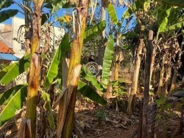 Sítio e chácara venda em Região Geográfica Imediata de Montes Claros, Montes Claros