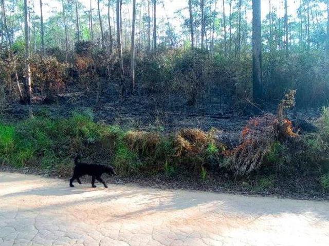 Sítio e chácara venda em Região Imediata de São Paulo, Região Metropolitana de São Paulo