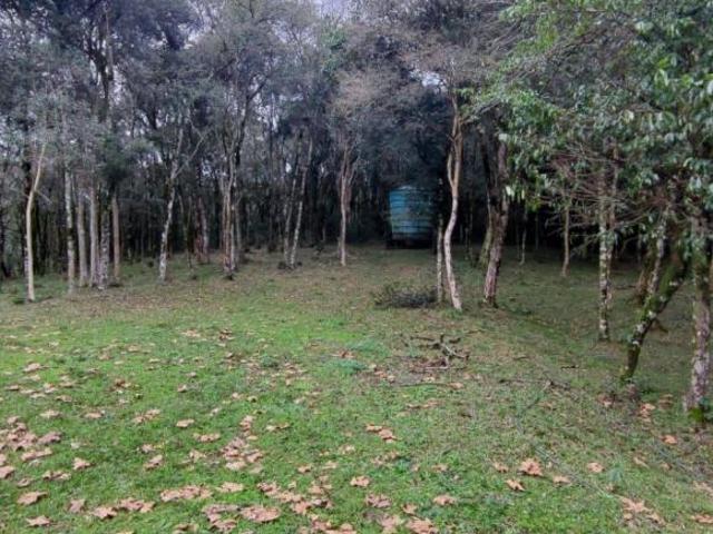 Sítio e chácara venda em Região Geográfica Imediata de Bento Gonçalves, Garibaldi