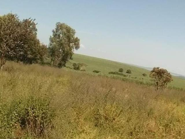 Sítio e chácara venda em Região Imediata de Ribeirão Preto, Região Metropolitana de Ribeirão Preto