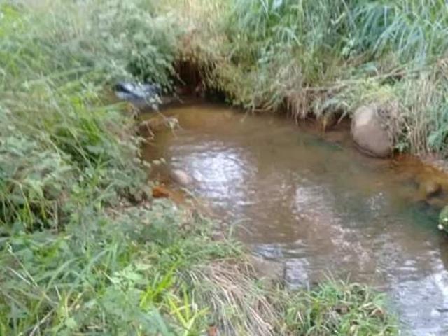 Sítio e chácara venda em Região Imediata de Rio Claro, Região Metropolitana de Piracicaba