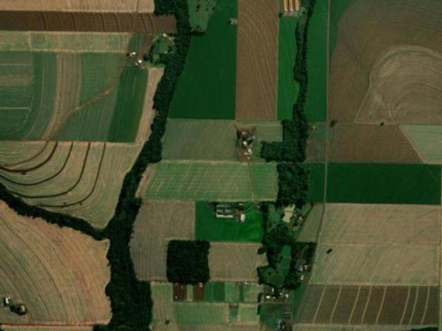 Sítio e chácara venda em Região Geográfica Imediata de Toledo, Toledo
