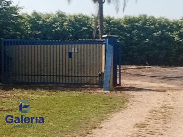Sítio e chácara venda em Região Imediata de Ribeirão Preto, Região Metropolitana de Ribeirão Preto