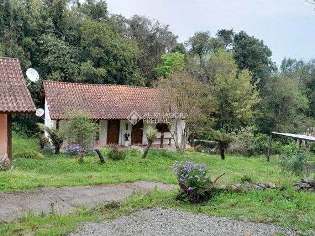 Sítio e chácara venda em Região Geográfica Imediata de Caxias do Sul, Nova Petrópolis