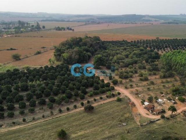 Sítio e chácara venda em Região Imediata de Mogi Guaçu, Região Sudeste