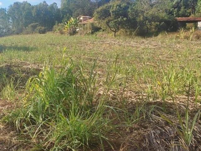 Sítio e chácara venda em Região Geográfica Imediata de Oliveira, Piedade dos Gerais