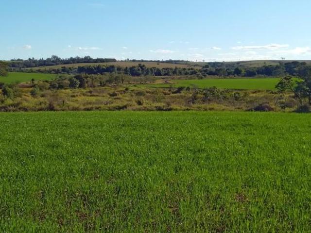 Sítio e chácara venda em Capela do Alto