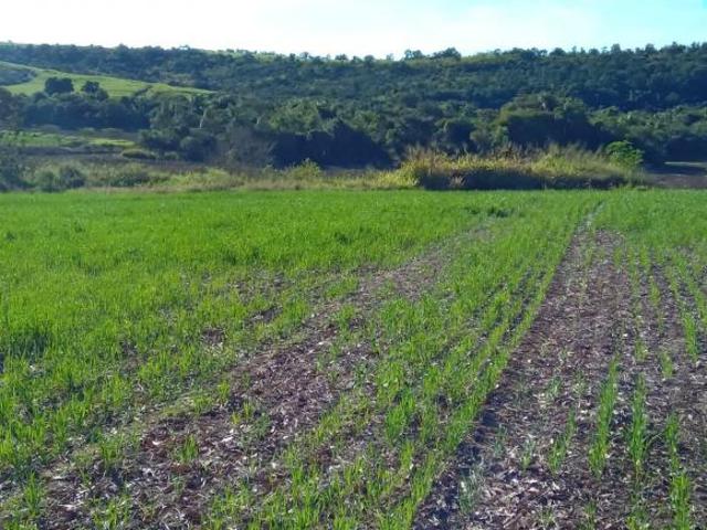 Sítio e chácara venda em Região Imediata de Sorocaba, Região Metropolitana de Sorocaba