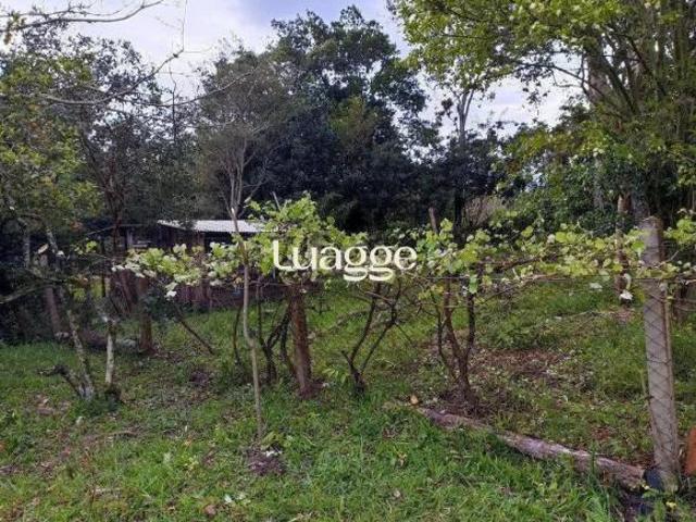 Sítio e chácara venda em Região Geográfica Imediata de Porto Alegre, Região Metropolitana de Porto Alegre