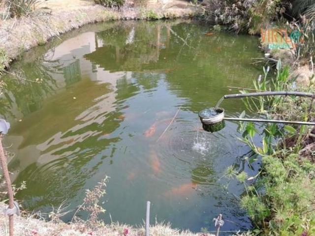 Sítio e chácara venda em Região Imediata de São José do Rio Pardo-Mococa, Caconde