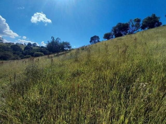 Sítio e chácara venda em Região Geográfica Imediata de Oliveira, Oliveira