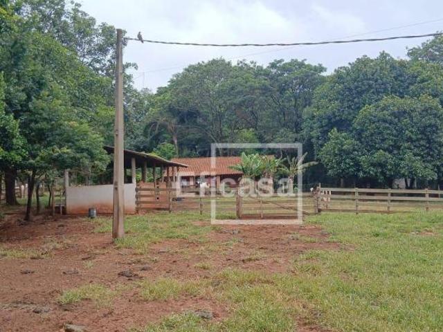 Sítio e chácara venda em Região Imediata de São José do Rio Preto, Região Metropolitana de São José do Rio Preto