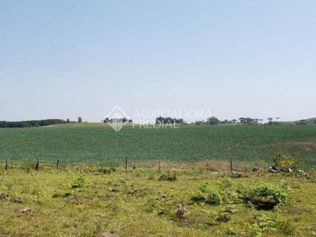 Sítio e chácara venda em Região Geográfica Imediata de Caxias do Sul, Caxias do Sul