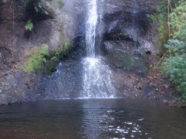Sítio e chácara venda em São Francisco de Paula, Região Geográfica Intermediária de Caxias do Sul
