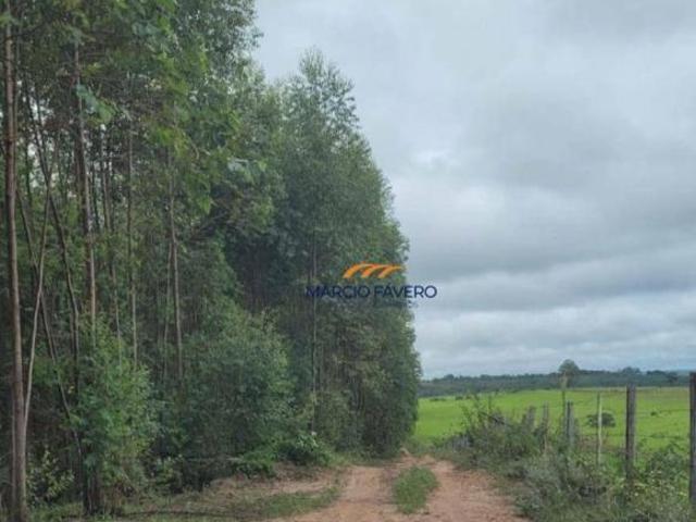 Sítio e chácara venda em Região Imediata de Botucatu, Anhembi