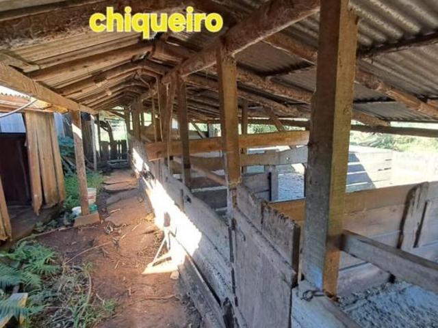 Sítio e chácara venda em Região Geográfica Imediata de Santa Cruz do Sul, Sinimbu
