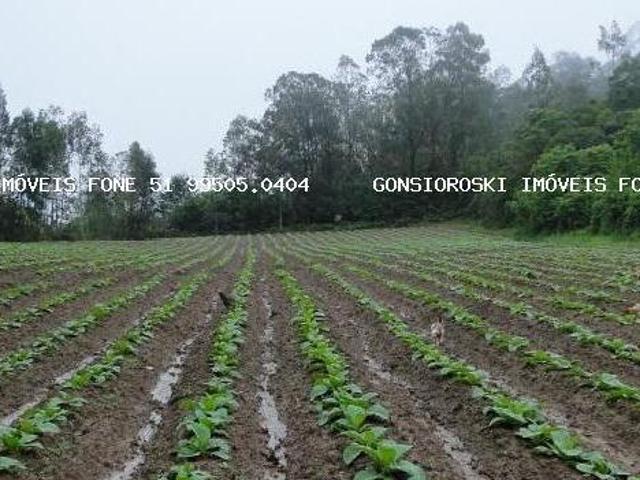 Sítio e chácara venda em Região Geográfica Imediata de Porto Alegre, Mariana Pimentel