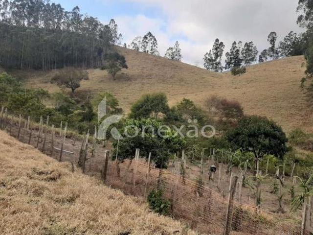 Sítio e chácara venda em Região Imediata de São José dos Campos, Região Metropolitana do Vale do Paraíba e Litoral Norte