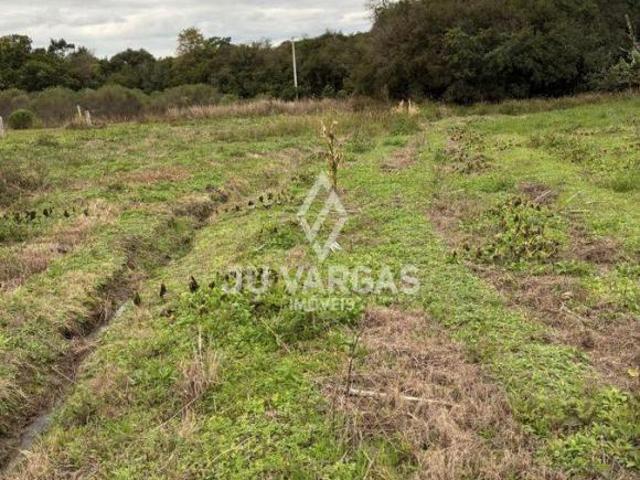 Sítio e chácara venda em Região Geográfica Imediata de Pelotas, Aglomeração Urbana do Sul