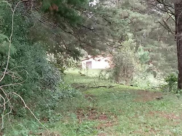 Sítio e chácara venda em Região Geográfica Imediata de Porto Alegre, Mariana Pimentel