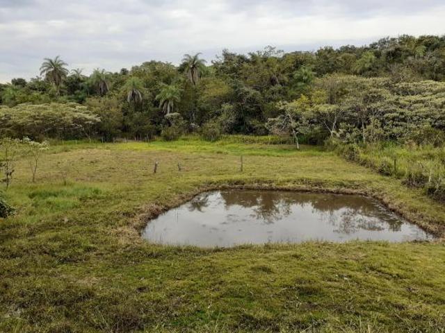 Sítio e chácara venda em Região Geográfica Imediata de Belo Horizonte, Região Metropolitana de Belo Horizonte