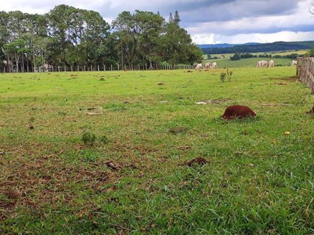 Sítio e chácara venda em Região Imediata de Itapetininga, Região Metropolitana de Sorocaba