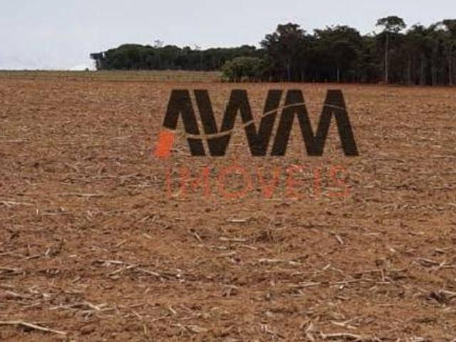 Sítio e chácara venda em Região Geográfica Imediata de Inhumas - Itaberaí - Anicuns, Americano do Brasil