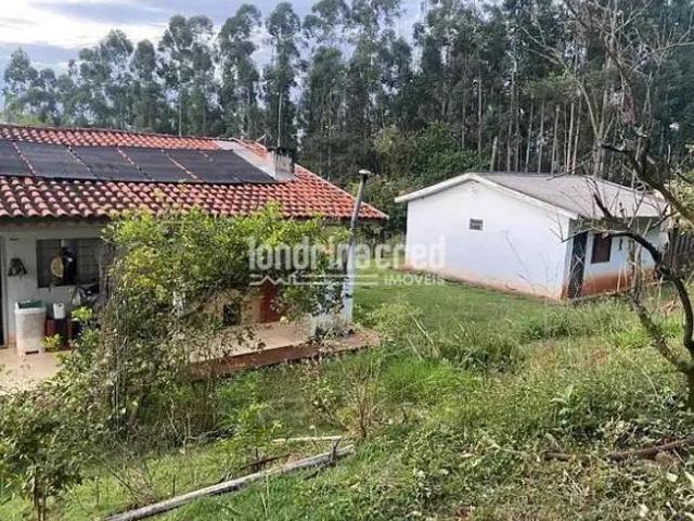 Sítio e chácara venda em Região Geográfica Imediata de Apucarana, Apucarana