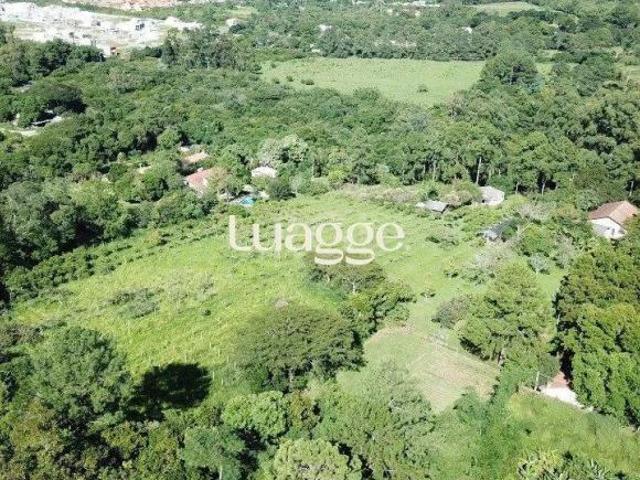 Sítio e chácara venda em Região Geográfica Imediata de Porto Alegre, Região Metropolitana de Porto Alegre