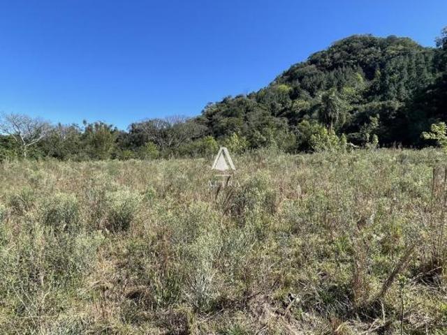 Sítio e chácara venda em Região Geográfica Imediata de Passo Fundo, Passo Fundo