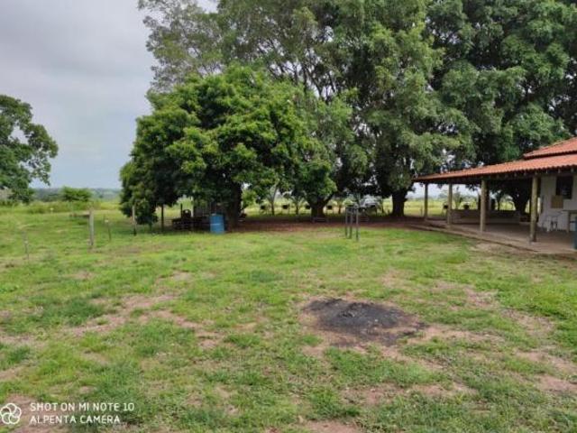 Sítio e chácara venda em Região Imediata de São José do Rio Preto, Região Metropolitana de São José do Rio Preto