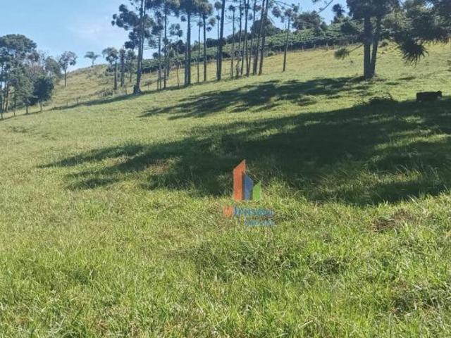 Sítio e chácara venda em Região Geográfica Imediata de Pouso Alegre, Ouro Fino