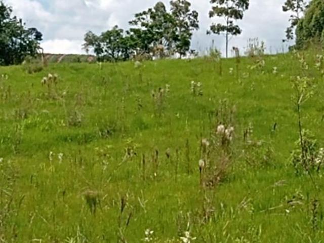 Sítio e chácara venda em Região Imediata de Itapetininga, Angatuba