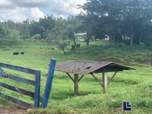 Sítio e chácara venda em Região Imediata de Piracicaba, Região Metropolitana de Piracicaba