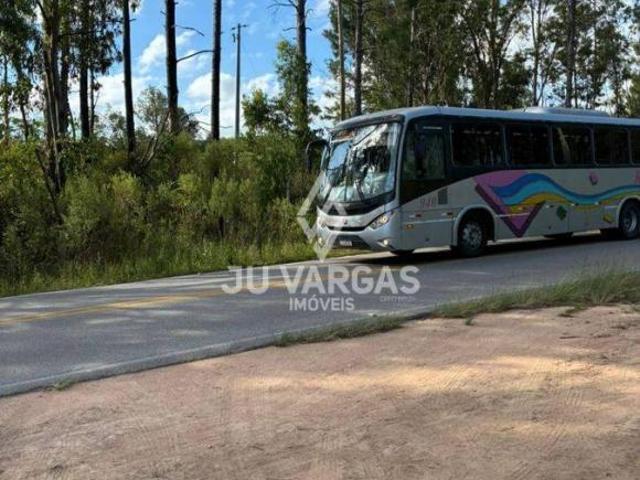Sítio e chácara venda em Região Geográfica Imediata de Pelotas, Morro Redondo