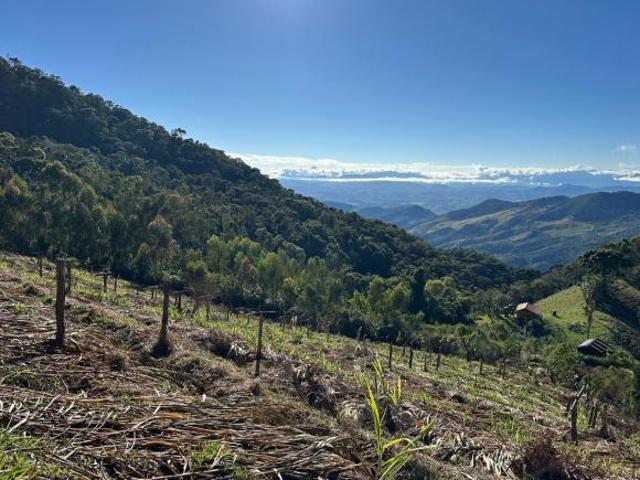 Sítio e chácara venda em Conceição do Mato Dentro, Região Geográfica Intermediária de Belo Horizonte
