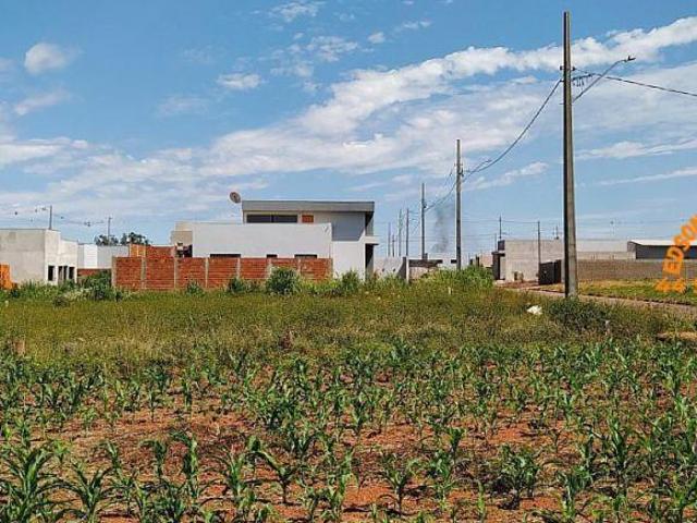 Sítio e chácara venda em Região Geográfica Imediata de Toledo, Terra Roxa