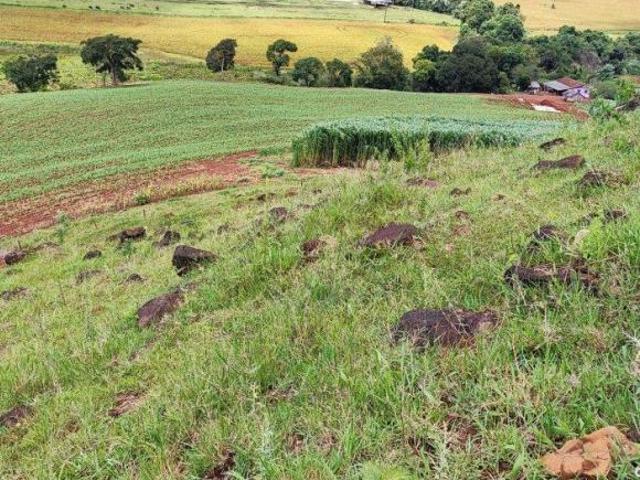 Sítio e chácara venda em Região Geográfica Imediata de Francisco Beltrão, Renascença