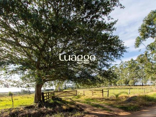 Sítio e chácara venda em Região Geográfica Imediata de Porto Alegre, Região Metropolitana de Porto Alegre