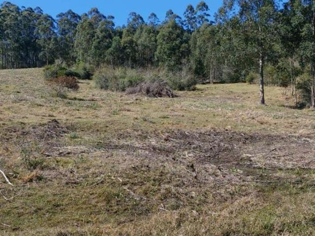 Sítio e chácara venda em Santo Antônio da Patrulha, Região Geográfica Intermediária de Porto Alegre