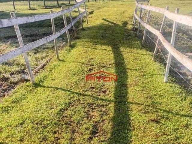Sítio e chácara venda em Região Imediata de Guaratinguetá, Região Metropolitana do Vale do Paraíba e Litoral Norte