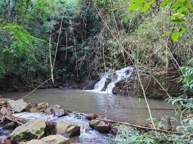 Sítio e chácara venda em Região Geográfica Imediata de Francisco Beltrão, Francisco Beltrão