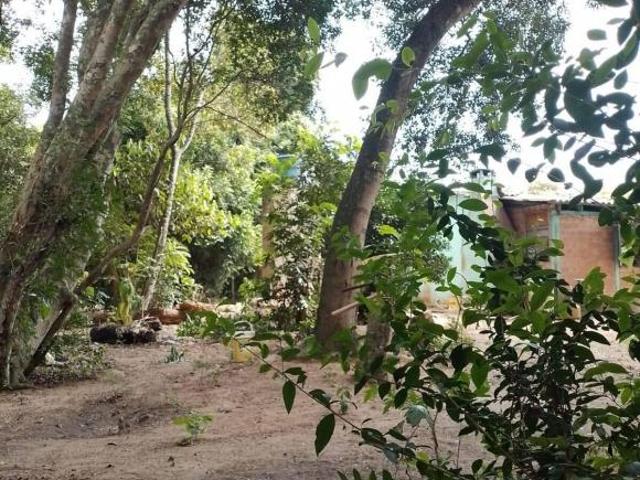 Sítio e chácara venda em Região Geográfica Imediata de Porto Alegre, Região Metropolitana de Porto Alegre
