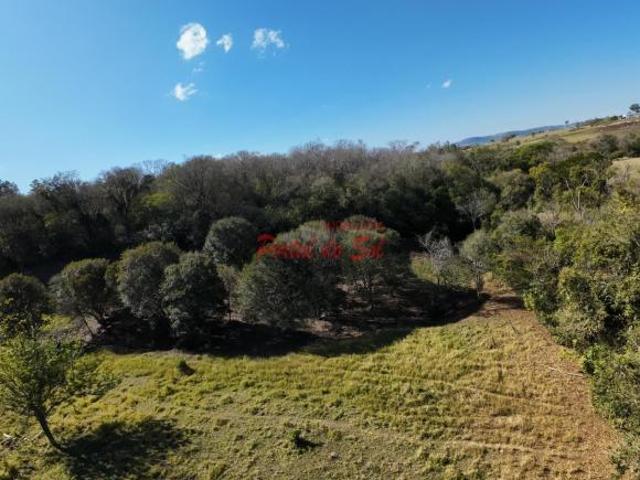 Sítio e chácara venda em Região Geográfica Imediata de Santo Antônio da Platina, Santo Antônio da Platina