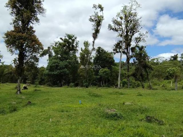 Sítio e chácara venda em Região Geográfica Imediata de Paranaguá, Antonina