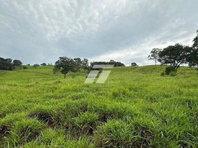 Sítio e chácara venda em Região Geográfica Imediata de Cascavel, Boa Vista da Aparecida