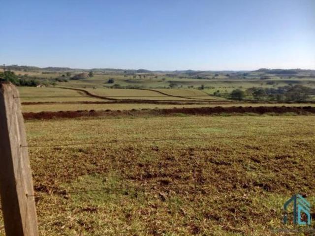 Sítio e chácara venda em Região Geográfica Imediata de Cornélio Procópio-Bandeirantes, Cornélio Procópio
