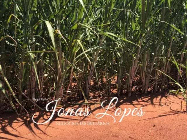 Fazenda venda em Região Geográfica Imediata de Paranavaí, Alto Paraná