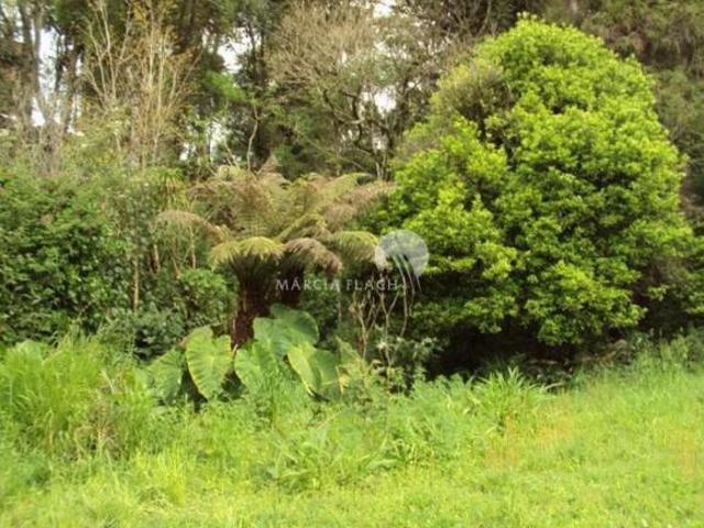 Sítio e chácara venda em Região Geográfica Imediata de Caxias do Sul, Gramado